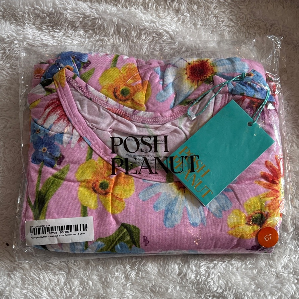 Posh Peanut Kaleigh cap sleeve twirl dress 6T